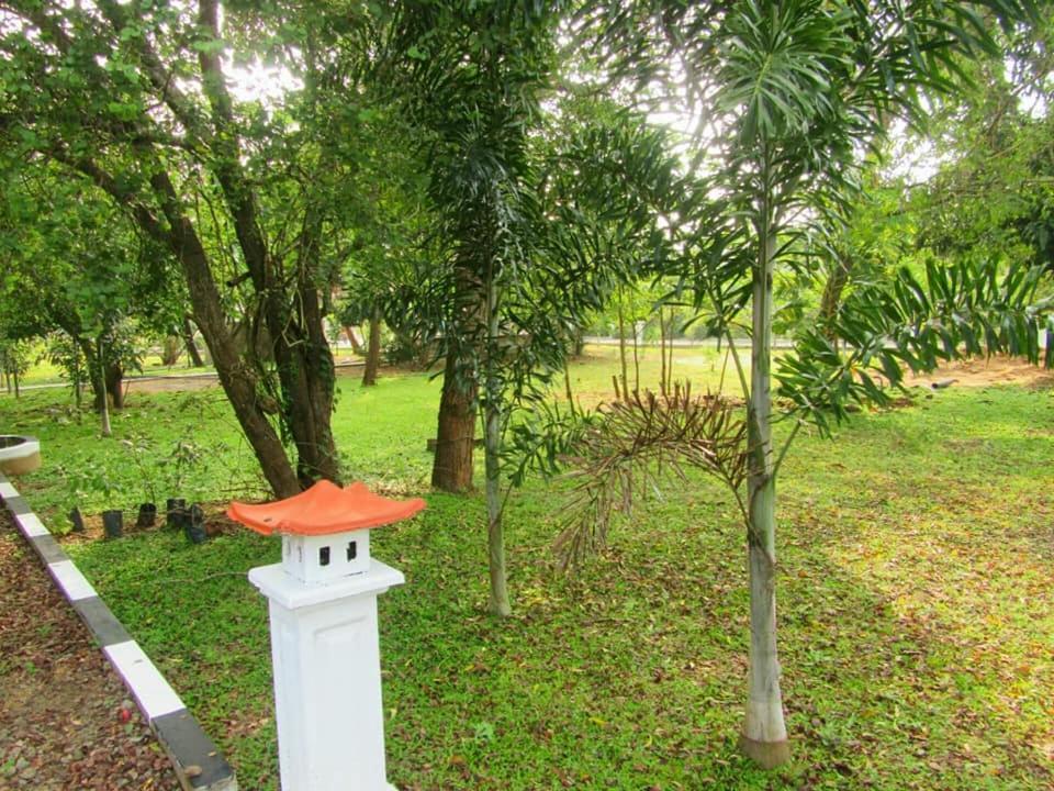 Hotel Tree Garden Wilpaththu Nochchiyagma Anuradhapura Nochchiyagama ภายนอก รูปภาพ