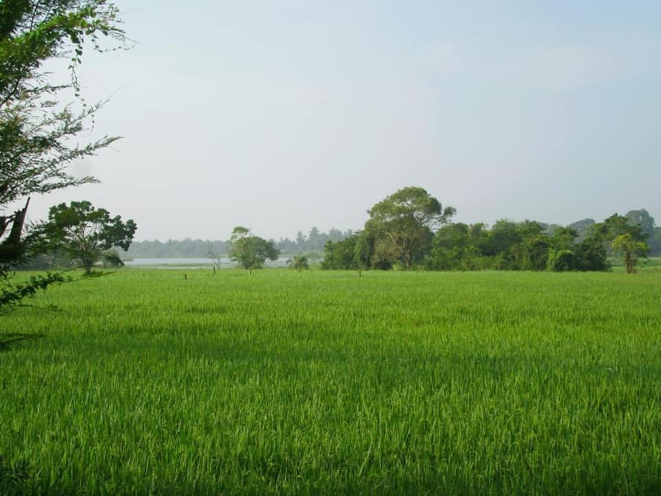 Hotel Tree Garden Wilpaththu Nochchiyagma Anuradhapura Nochchiyagama ภายนอก รูปภาพ