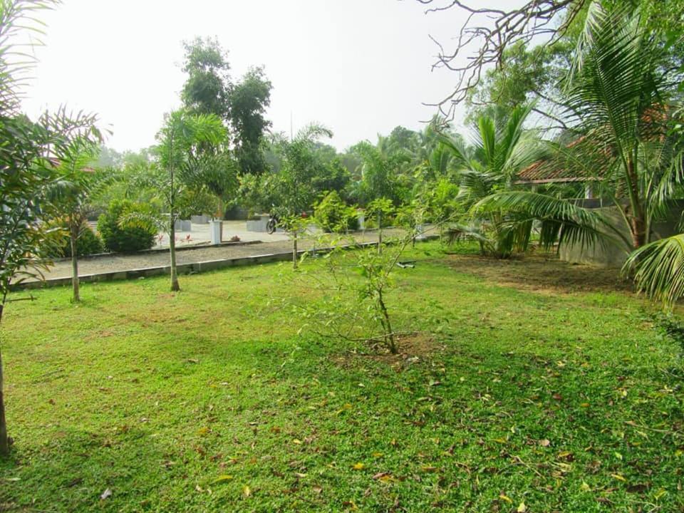 Hotel Tree Garden Wilpaththu Nochchiyagma Anuradhapura Nochchiyagama ภายนอก รูปภาพ