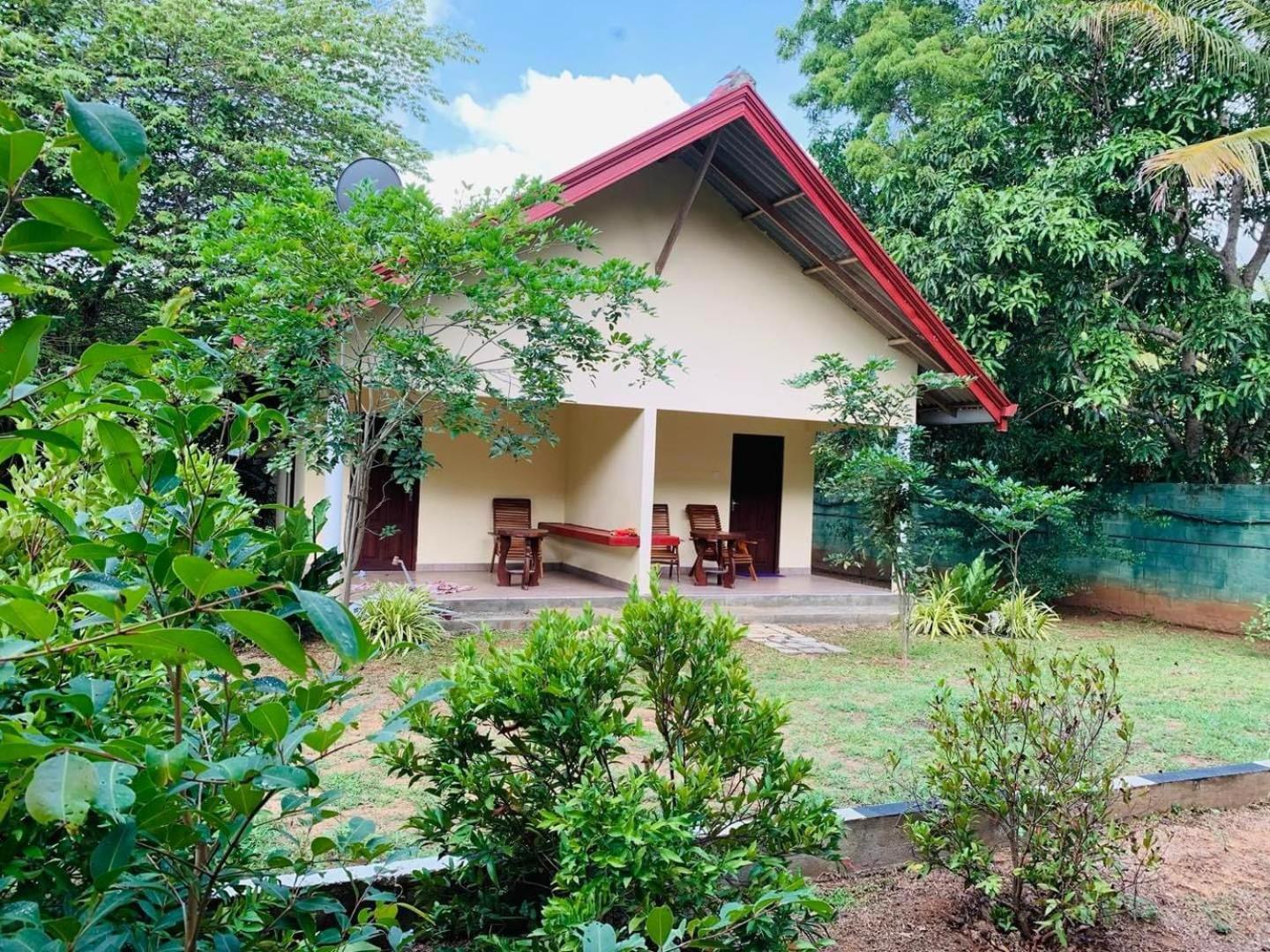 Hotel Tree Garden Wilpaththu Nochchiyagma Anuradhapura Nochchiyagama ภายนอก รูปภาพ