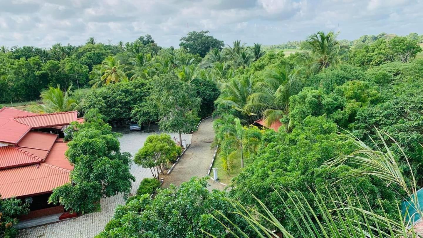Hotel Tree Garden Wilpaththu Nochchiyagma Anuradhapura Nochchiyagama ภายนอก รูปภาพ