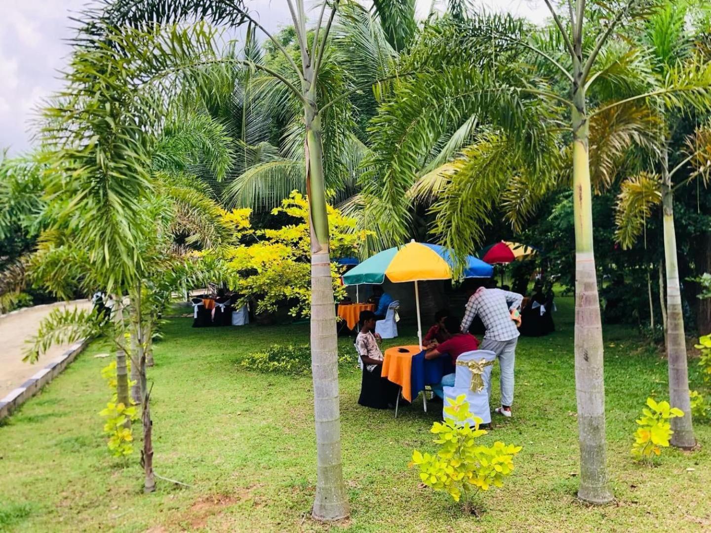 Hotel Tree Garden Wilpaththu Nochchiyagma Anuradhapura Nochchiyagama ภายนอก รูปภาพ