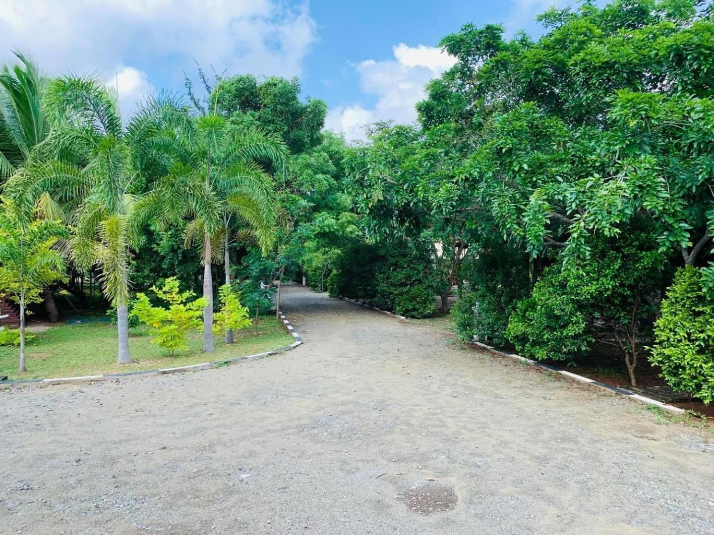 Hotel Tree Garden Wilpaththu Nochchiyagma Anuradhapura Nochchiyagama ภายนอก รูปภาพ